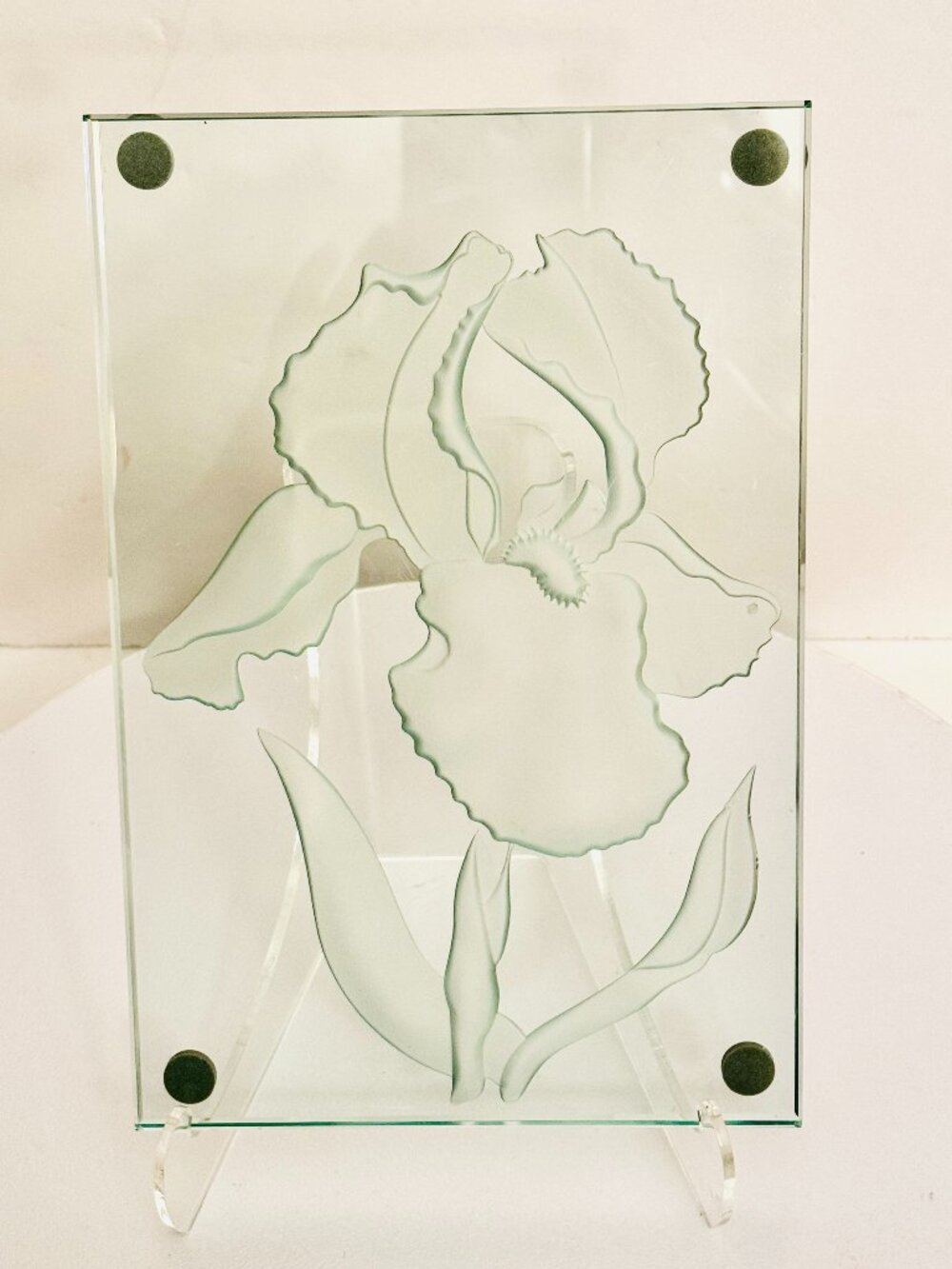 Vtg Frosted Glass Tray 9x6" Edging Bearded Iris Floral Home Decor